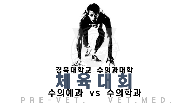 체육대회1.png